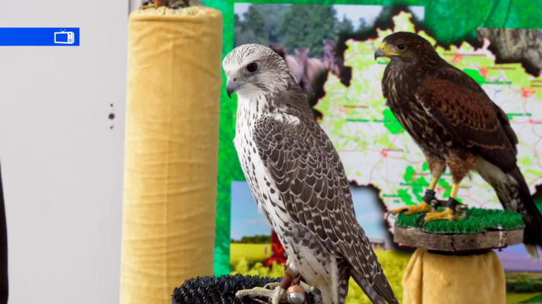 Nauka może być fajna!